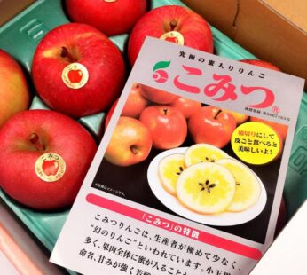 青森蜜入糖心富士蘋果 禮盒8-12個(約2kg1盒)