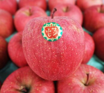 青森富士紅蘋果 (約270g1個)