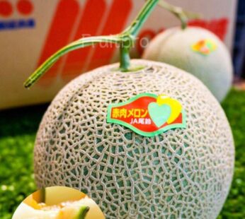 宮崎/熊本赤肉蜜瓜 (約1.4kg1個)