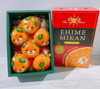 愛媛”柴犬”蜜柑禮盒 1盒12-15粒(約1kg1盒)