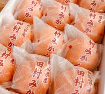 和歌山”田村”蜜柑禮盒 1盒12-15粒(約1.2kg1盒)