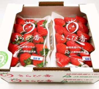 靜岡閃亮香士多啤梨  1盒2包(約280g1包)