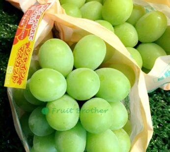 長野香印青提子 (約600-700g1束)