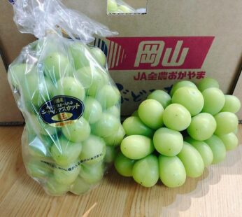 岡山晴王青提子 (約600-700g1束)