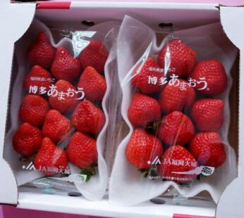 福岡甜王士多啤梨 1盒2包(約280g1包)