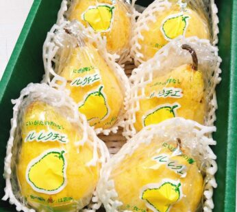 新潟縣Le lectier Pear金啤梨 禮盒8個(約4kg1箱)