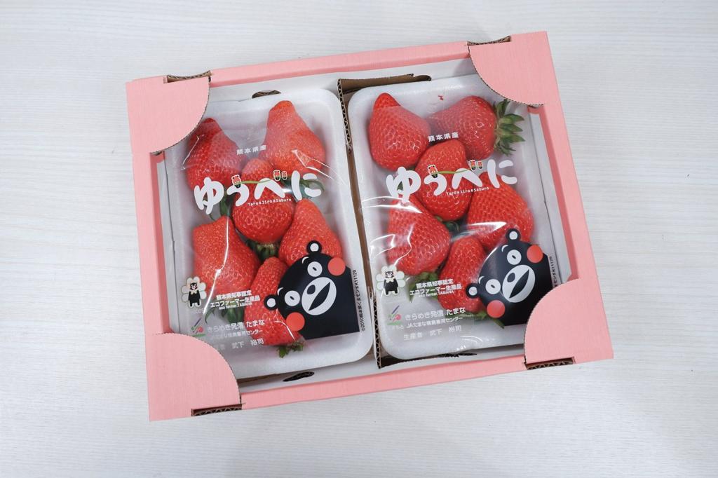 熊本露の水滴士多啤梨 1盒2包(約280g1包)