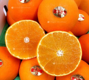 愛媛”麥當娜”柑橙 禮盒1盒8-12個(約3kg1盒)