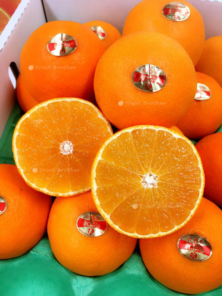 fd24cff3-1f66-4b11-a6fb-7e7d37140701